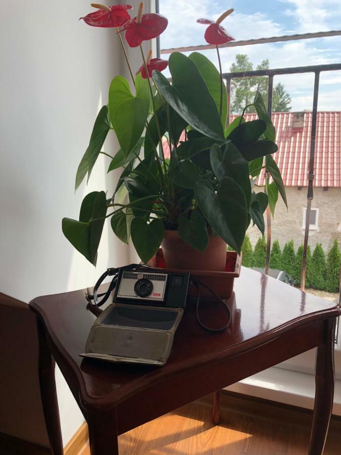 Vila Mária Rapovce Exterior foto